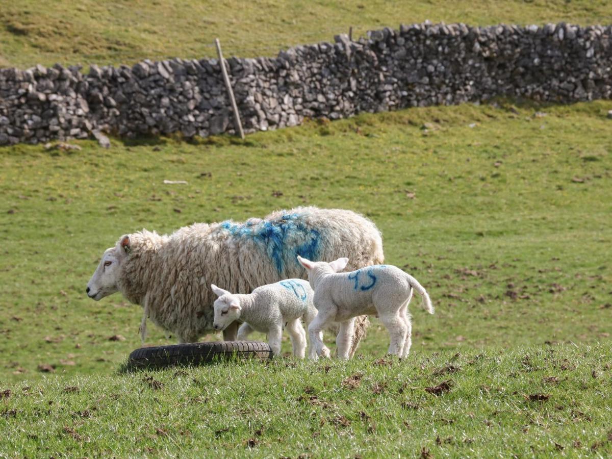 Shepherds Retreat Ashbourne  Exteriér fotografie